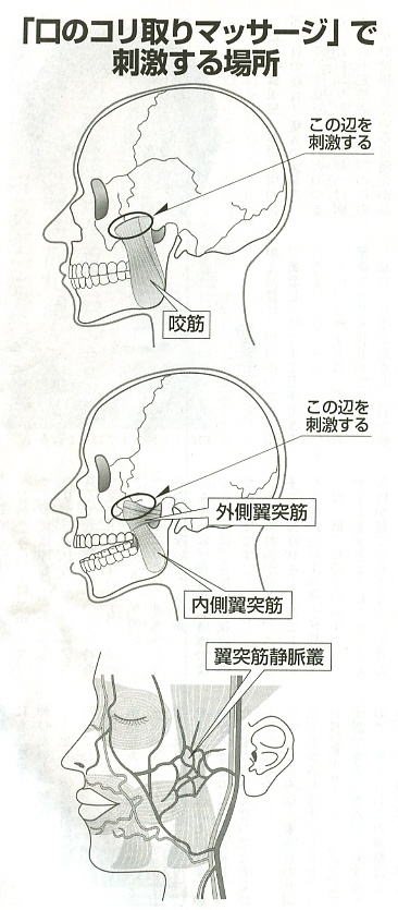 東京都・文京区の顎関節症・かみ合わせ治療専門医院｜グリーン歯科医院の口のコリ取りマッサージ・トレーニング