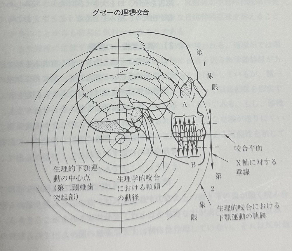 東京都・文京区の顎関節症・かみ合わせ治療専門医院｜グリーン歯科医院の噛み合わせの問題について